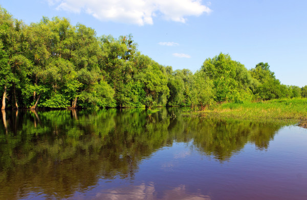 美素精选图库 river tree lake